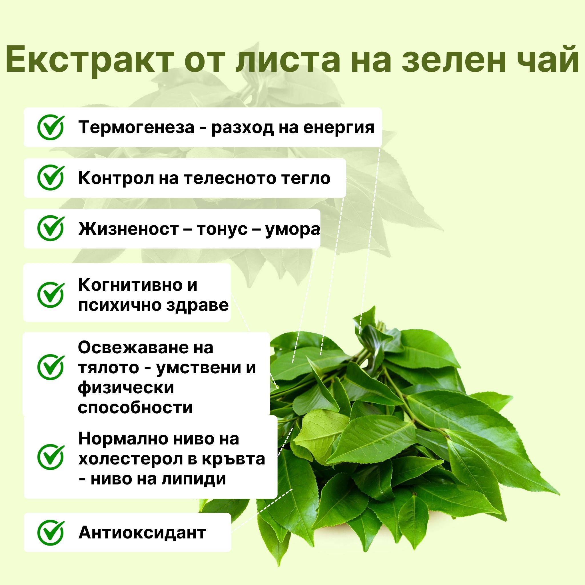 (Bulharština) (3)